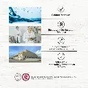 Diseño sin título (10).webp