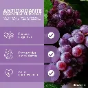 Diseño sin título (5).webp