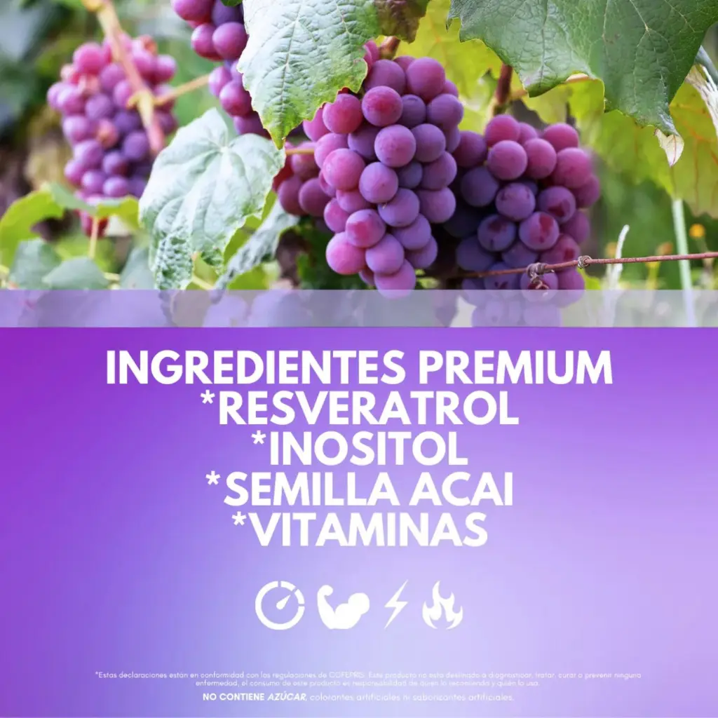 Diseño sin título (7).webp