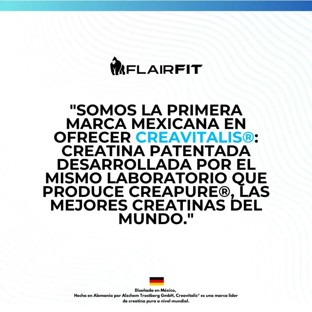 Diseño sin título (2).webp