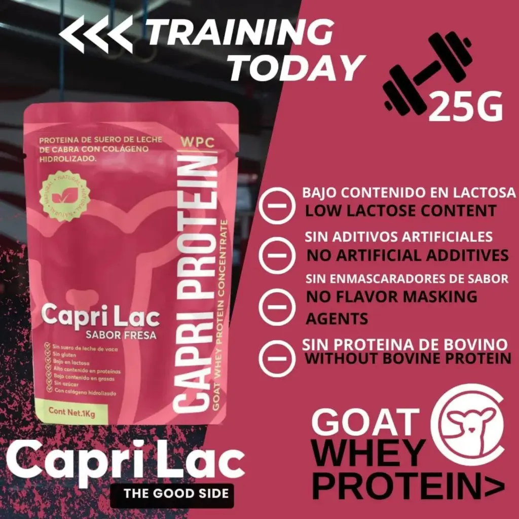 Diseño sin título - 2026-01-13T154544.782.webp