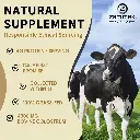 Diseño sin título (6).webp