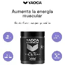 Diseño sin título (2).webp