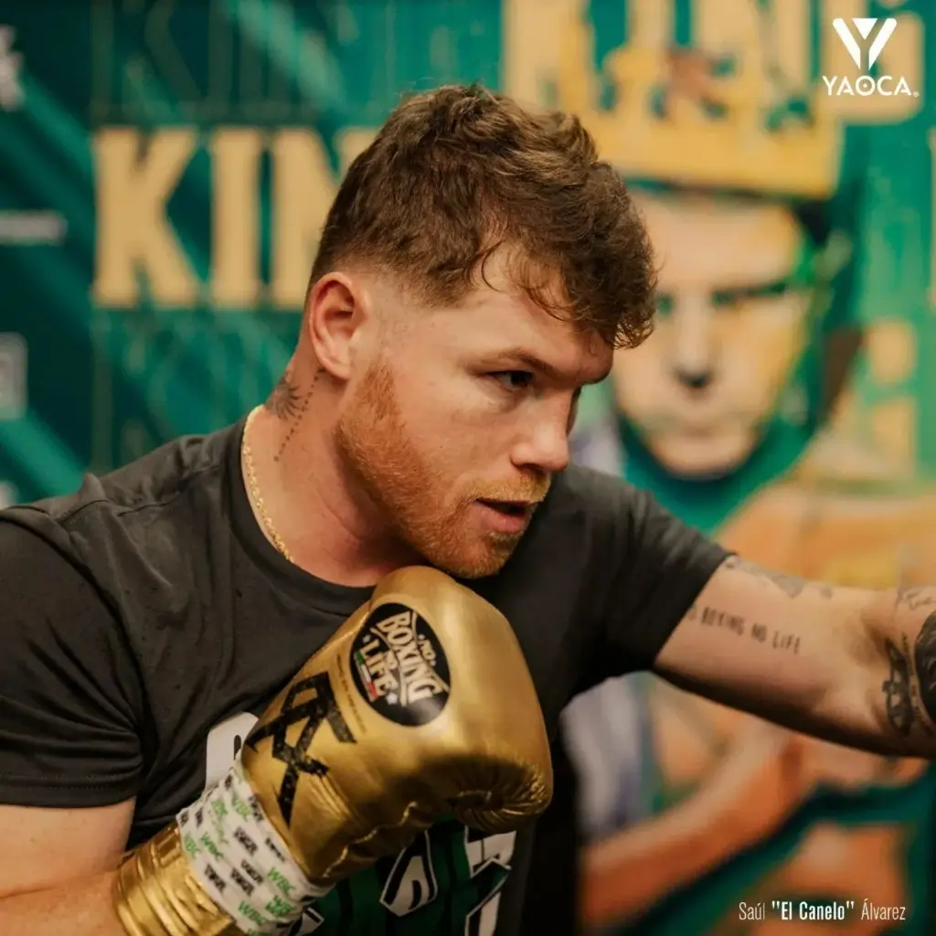 Diseño sin título (5).webp