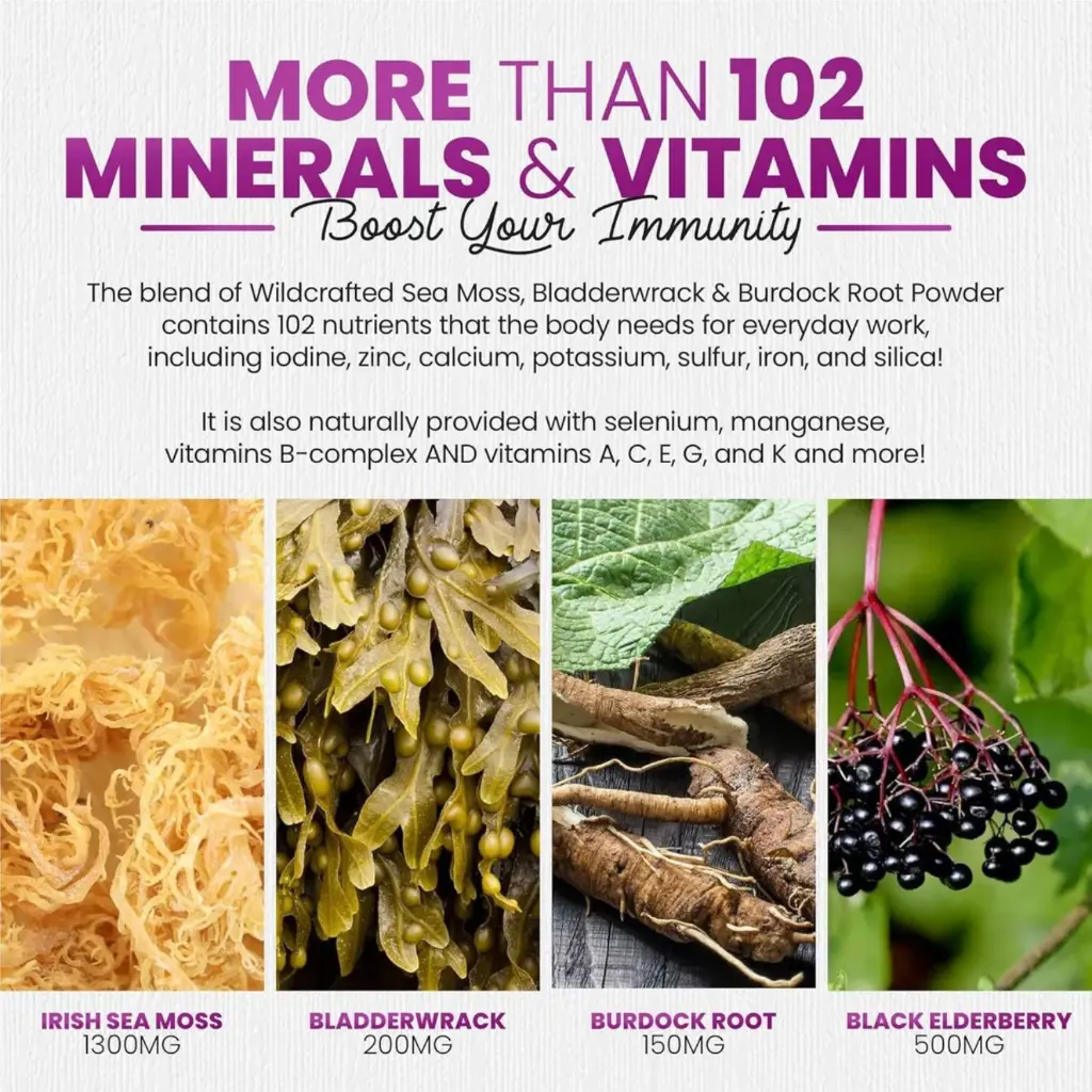 Diseño sin título - 2026-02-03T140422.924.webp