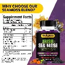 Diseño sin título - 2026-02-03T140446.744.webp