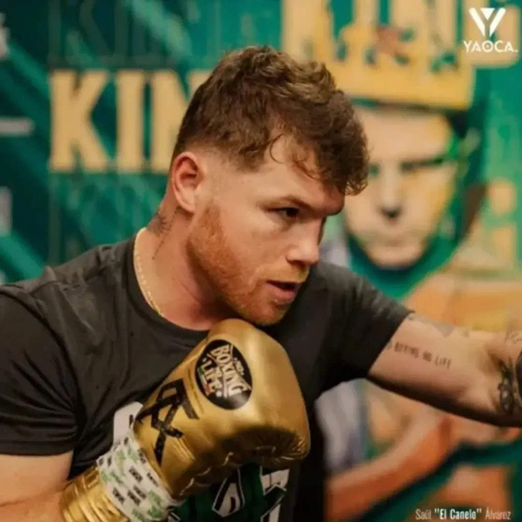 Diseño sin título (4).webp