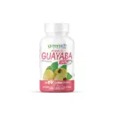 GREENSIDE Hojas De Guayaba Con Extracto De Guayaba, Vitamina C Y Mezcla Herbal Que Apoya El Bienestar Digestivo Y Fortalece El Sistema Inmunológico 350mg 60 Capsulas