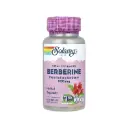 Solaray Berberina, 500 Mg, 60 Cápsulas Vegetales, Refuerzo para el Metabolismo y la Glucemia