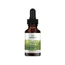 Swanson Astragalus Root Liquid Extract, Salud Inmunológica, Sin Alcohol Y Sin Azúcar, 1 Fl Oz (29,6 Ml) Líquido
