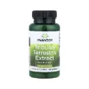 Swanson, extracto de Tribulus Terrestris, 500 mg, 60 cápsulas sfn