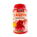 Ypenza Colágeno sabor jamaica de 1.1kg Suplementos