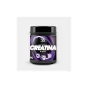 PROTGT CREATINA MONOHIDRATADA 250 GR 41 SERVS