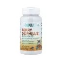 Now Foods Niños, Berry Dophilus, Refuerzo Gastrointestinal 60 Tabletas Masticables